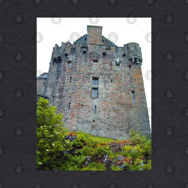 Eilean Donan Castle V by tomg